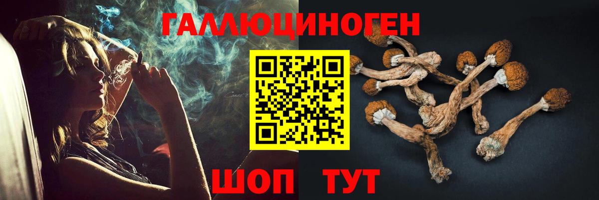 Тара  Галлюциногенные грибы Magic Shrooms  Вход с VPN 