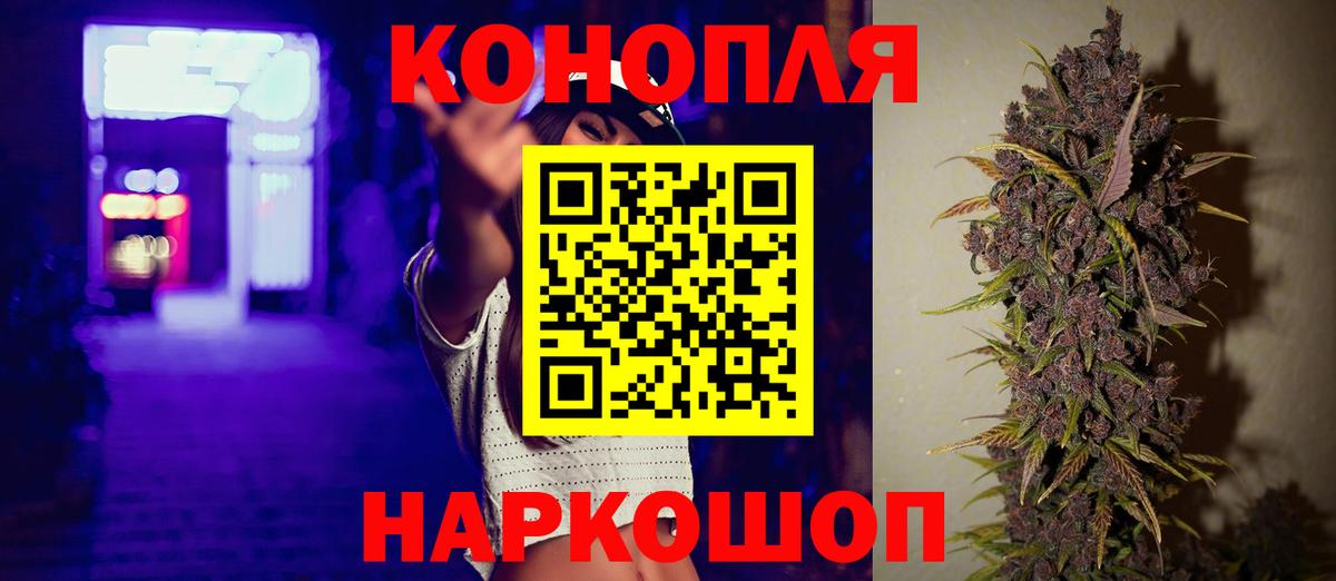 Канабис OG Kush Тара